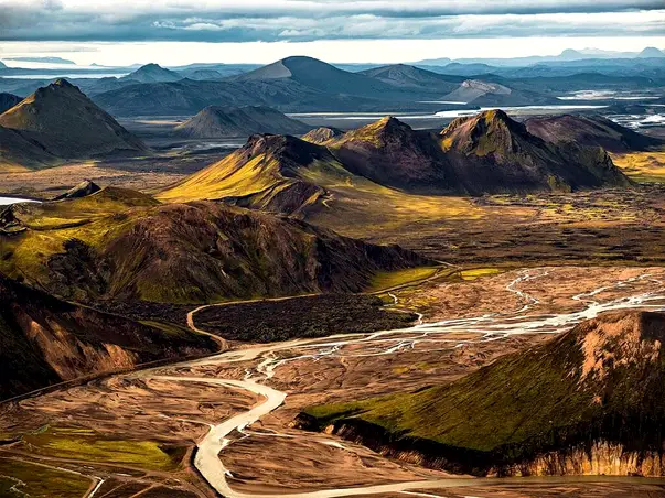 fototapet komar urwelten