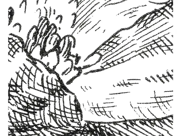 fototapet komar x61036 detaliu