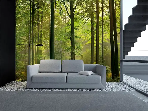 fototapet padure autumn forest