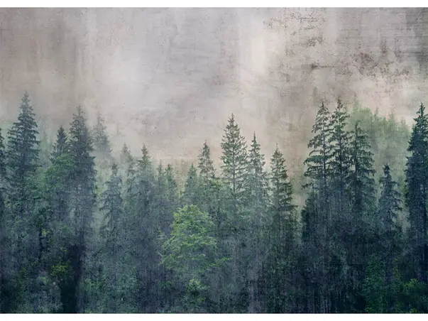 fototapet padure dimex forest abstract