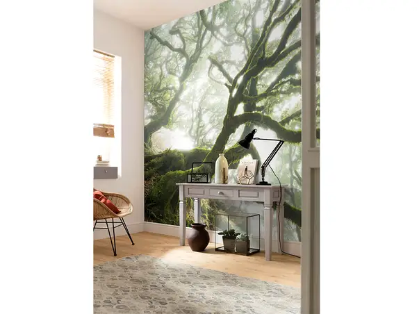 fototapet padure the forgotten forest