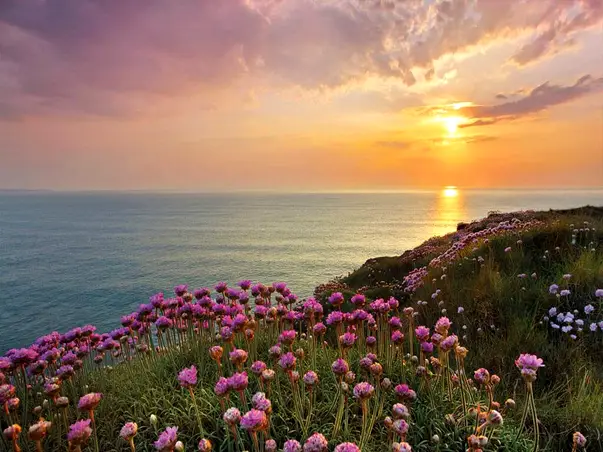 fototapet peisaj mare apus de soare