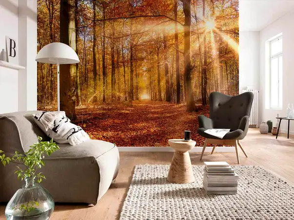 fototapet peisaj padure golden dawn