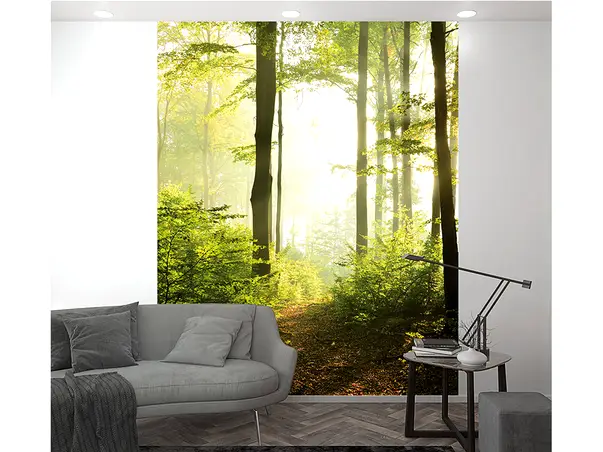 fototapet peisaj padure marburg 47221