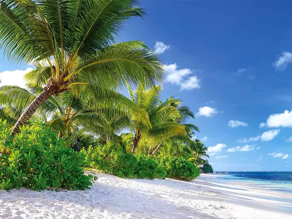 fototapet peisaj plaja exotica