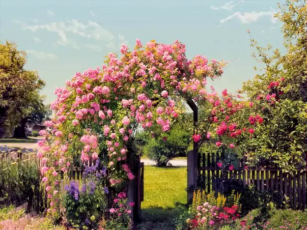 fototapet peisaj rosa garden