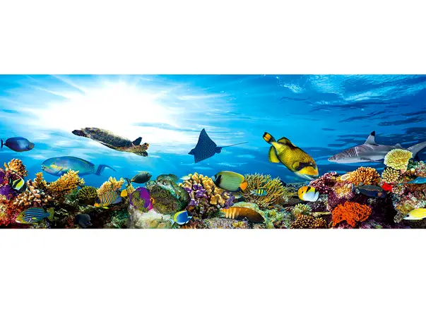 fototapet pesti dimex 375 150 xm