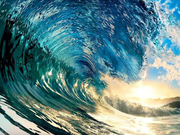 fototapet val the perfect wave