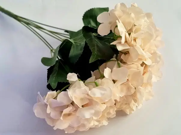 hortensie crem artificiala