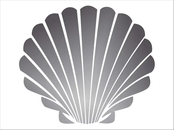 oglinda acrilica Scoica