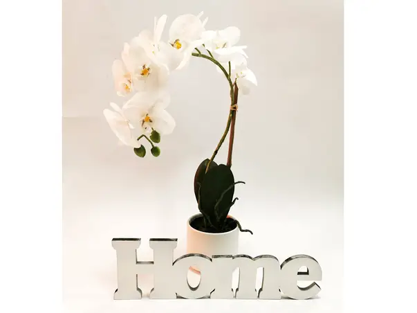 pachet decoratiune home si orhidee alba