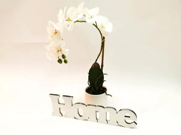 pachet orhidee alba si decoratiune home