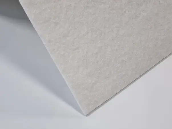 palsa alba 3mm 2 4198