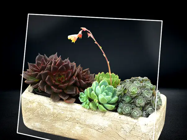 placa acrilica transparenta lucioasa plexiglas transparent lucios 4