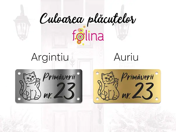 placuta adresa model pisica gravata v4