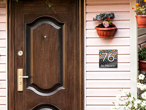 placuta adresa mosaic x1 v1