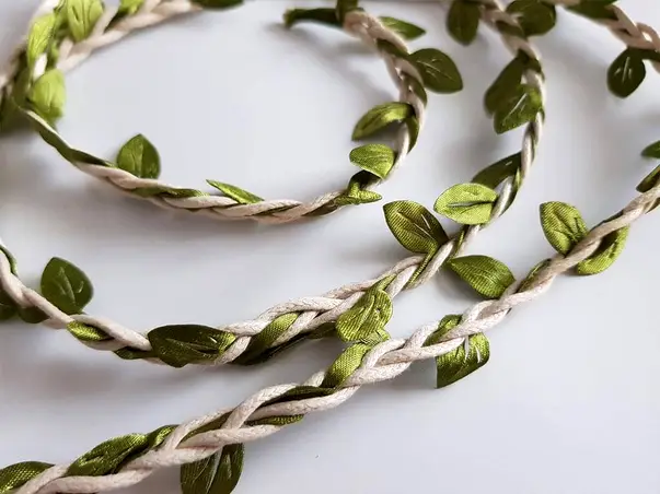 sfoara alba cu frunze verzi