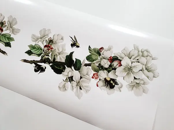 sticker creanga flori de mar