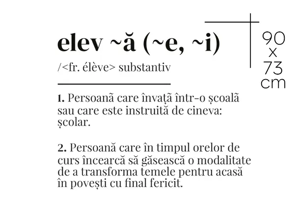 sticker educational definitia elevului dex scoli gradinite s02