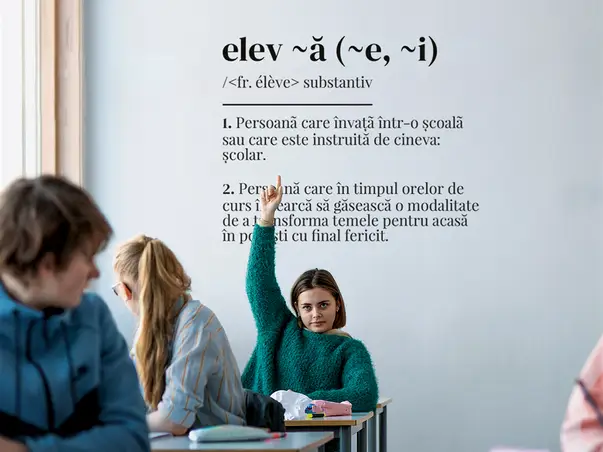 sticker educational definitia elevului dex scoli gradinite s04