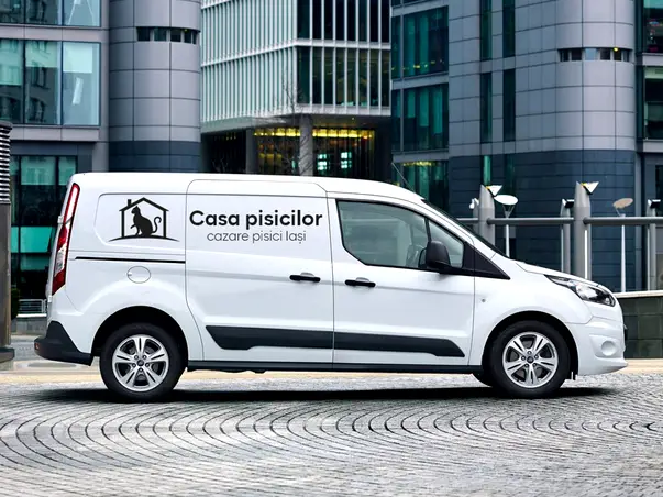 sticker firma personalizat cu litere sau logo reclama pe masina ta 2 randuri s9