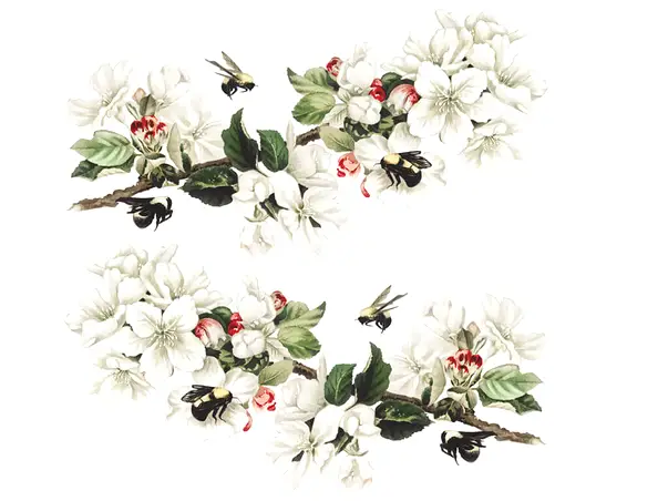 sticker geam flori de mar