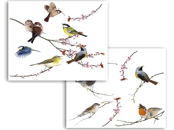 sticker geam pasari komar