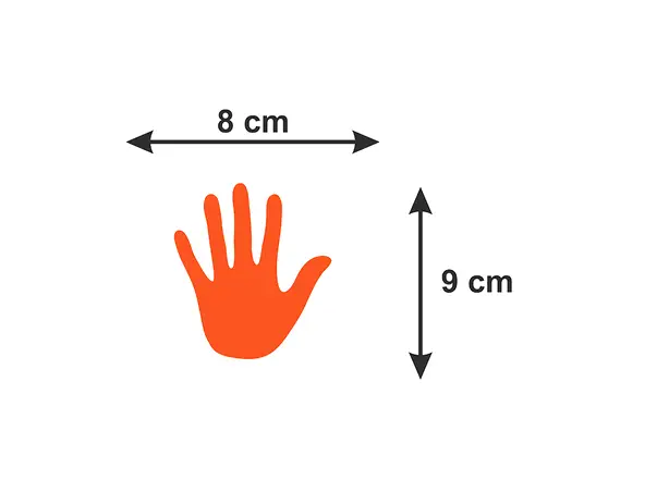 sticker palma colorata