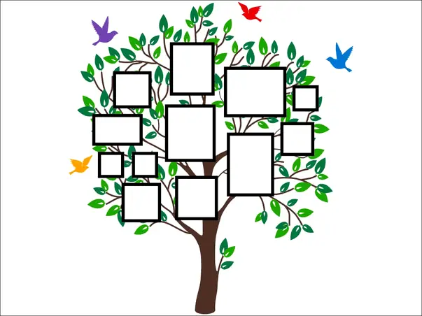 sticker perete copac rame foto