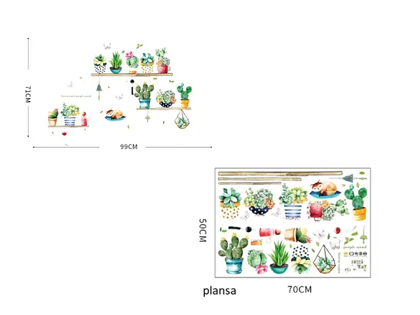 sticker plante suculente in ghivece colorate