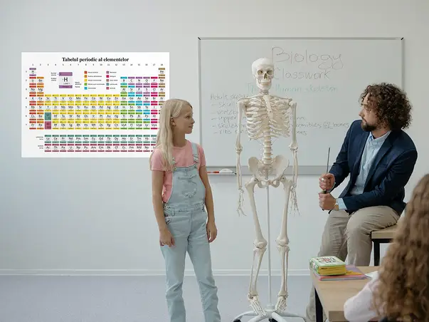 sticker tabelul periodic al elementelor racleta inclusa s1