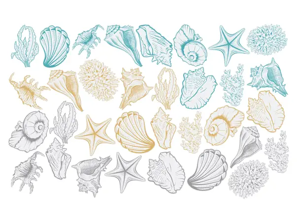 stickere baie folina model corali si scoici