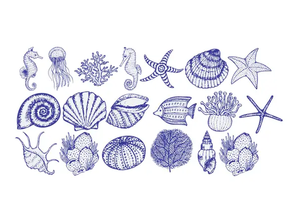 stickere baie folina model scoici albastre