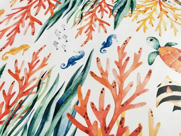 stickere baie pesti corali