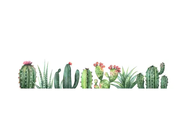 stickere cactusi folina ksy11 bordura decorativa verde