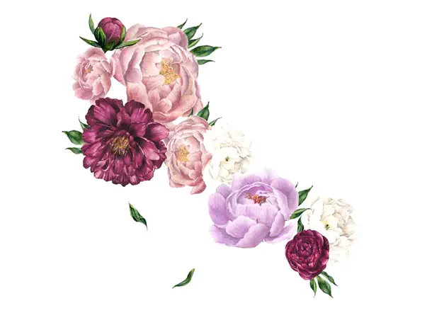 stickere florale mov bujori mari