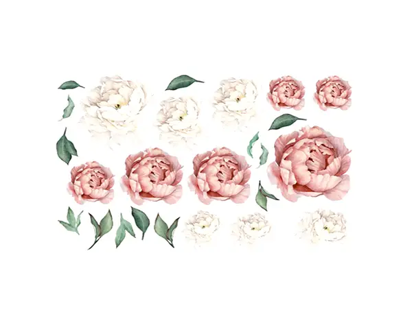 stickere flori bujori crem