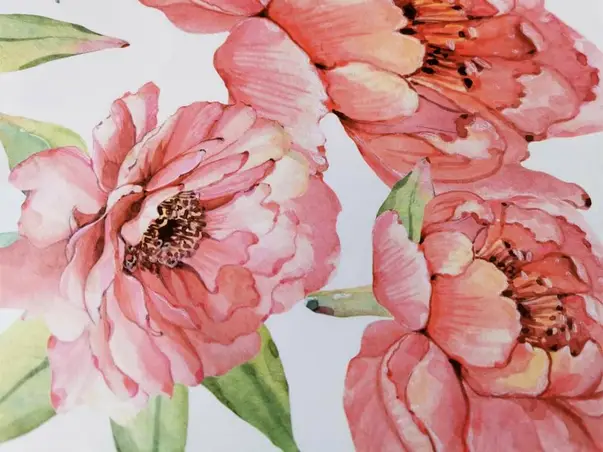 stickere flori watercolor bujori roz