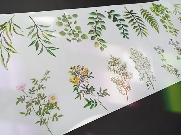 stickere folina crengute fxc31 pvc transparent s5