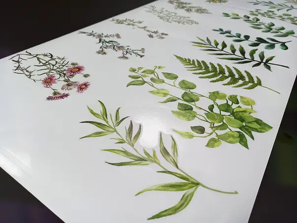 stickere folina crengute fxc31 pvc transparent s6