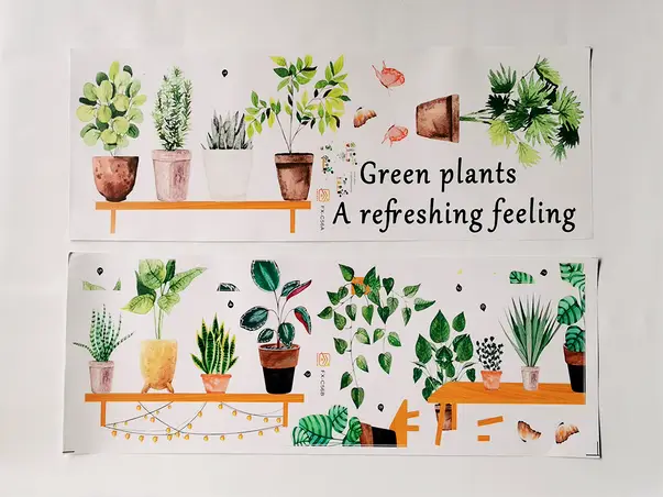 stickere ghivece cu plante verzi pe polite