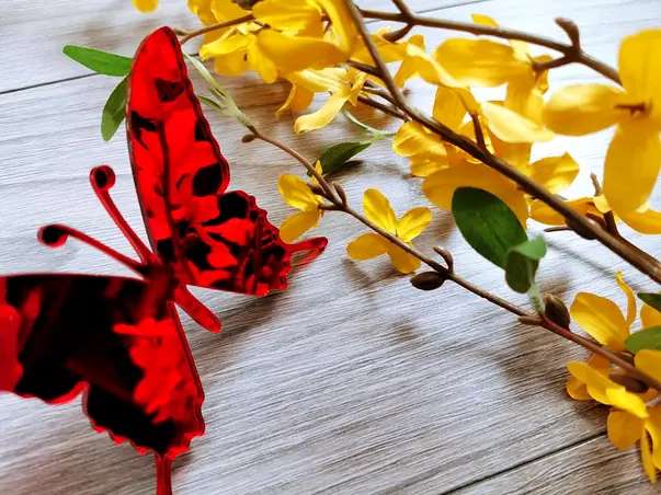 stickere oglinda fluturi rosii