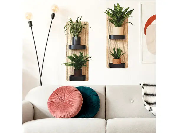 stickere perete 3d polita cu ghivece plante verzi