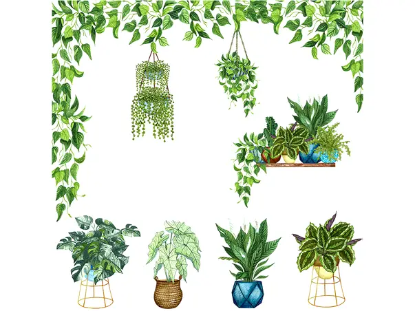 stickere plante verzi suspendate