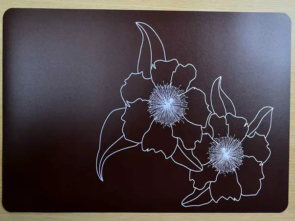 suport farfurie maro bacaro