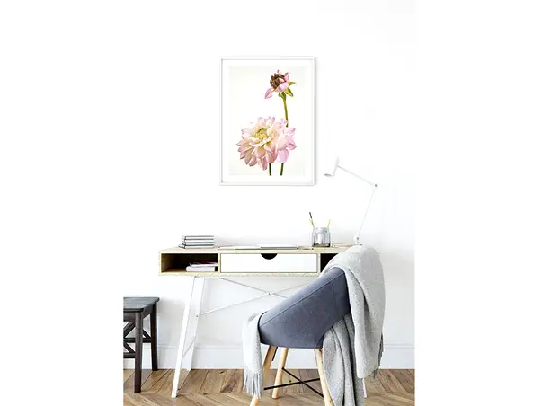 tablou floare roz dalie