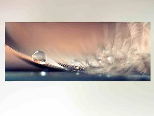 tablou sticla  stories of drops eurographics