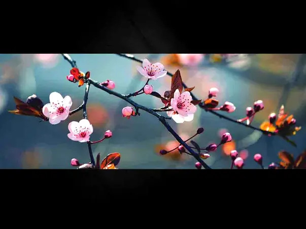 tablou sticla primavara eurographics