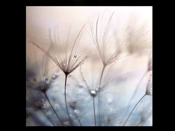 tablou sticla teardrops