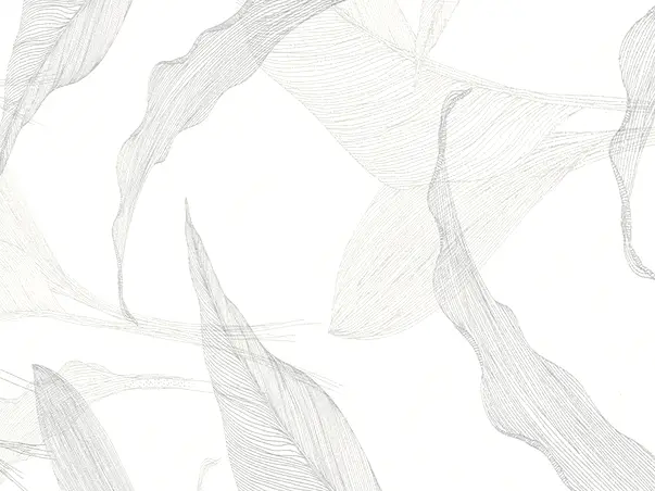 tapet alb elle 1020731